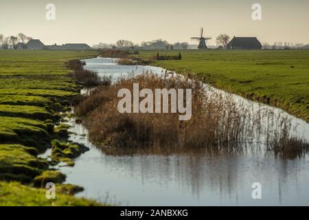 Un paysage frison sur le Noordermiedweg près de Hallum, aux Pays-Bas en 2019. Banque D'Images