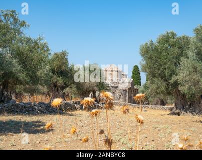 Diasoritis Saint Georges 11ème siècle byzantin, Chalki, entouré d''oliviers centenaires avec chardon sec fleurs en terre devant moi sur le Grec Banque D'Images