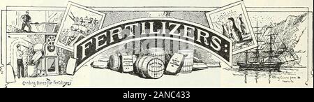 Automne 1900 : catalogue lampes iled . lors de l'application. Prix, pintcan, 30c. ; quart peut, 55c. ; gallon peuvent, liNSECTi* CHAMPIGNON 1,50& P. D. Q. En poudre, pour les chiens et poultrv, 1 lb., 25c. ; 5 lbs $100 Slug Shot, 5 1b. pkg.,3bc. : 101b pkg. 50 baril de 2,35 livres en vrac. $850 de 125 livres ; kfg 500 en boîtes holding 5^ lb. chaque 25 poussière de tabac, par lb., 10c. ; 5 lb. pkg., 3Cc. ; 10 lb pkg , 50C ; 100 lb bag 2,00 Savon à l'huile de baleine, 1 lb. fort, 15c. ; 2 lb. Fort, 2oo ; 5 lb. fort, 50c. 25 livres et plus, par lb 08 tiges de tabac, 501b. balle, 85c. ; 100 lb. balle, ... 1.50 " par tonne de 2 000 lbs, Thymo-Cresol 20,00 Banque D'Images