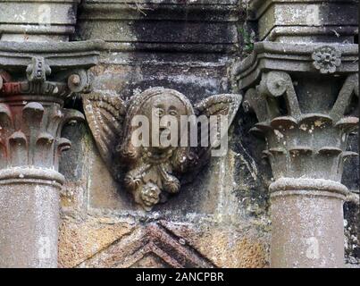 France, Bretagne, Daoulas, Abbaye de Daoulas, jardins, plantes des jardins, plantes, fleurs, jardinage, ruines, Banque D'Images