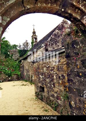 France, Bretagne, Daoulas, Abbaye de Daoulas, jardins, plantes des jardins, plantes, fleurs, jardinage, ruines, Banque D'Images