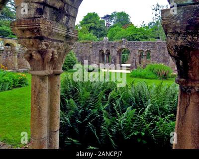 France, Bretagne, Daoulas, Abbaye de Daoulas, jardins, plantes des jardins, plantes, fleurs, jardinage, ruines, Banque D'Images