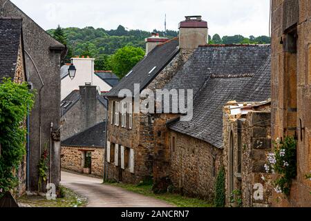 France, Bretagne, Daoulas, Abbaye de Daoulas, jardins, plantes des jardins, plantes, fleurs, jardinage, ruines, Banque D'Images