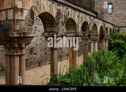 France, Bretagne, Daoulas, Abbaye de Daoulas, jardins, plantes des jardins, plantes, fleurs, jardinage, ruines, Banque D'Images