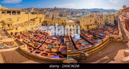 Cuir mourant dans une tannerie traditionnelle de la ville Fes, Maroc Banque D'Images