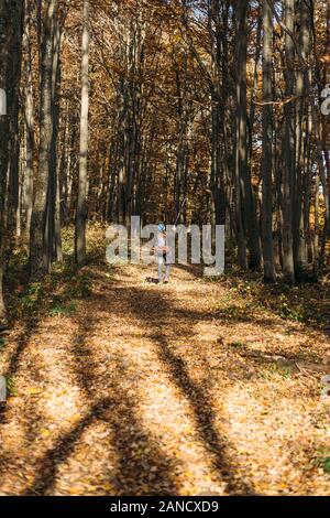 Un randonneur descend un sentier forestier sur la montagne des Carpates Banque D'Images