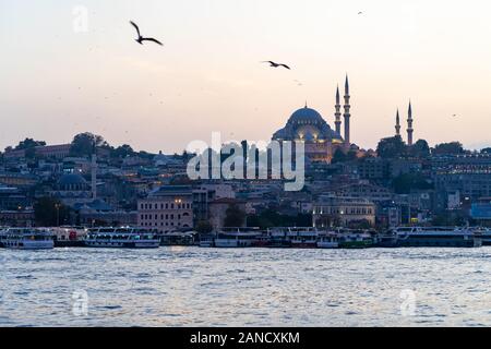 Oiseaux survolant la mosquée d'Istanbul au coucher du soleil en octobre Banque D'Images