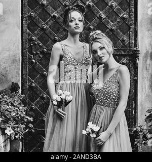 Belles demoiselles dans un magnifique style élégant étage longueur robe de mousseline robe col en V orné de strass et paillettes paillettes holding Banque D'Images