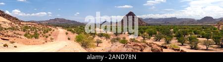 Panorama,vue panoramique,sec,désert scrub arib,paysage,Vallée de l'UGAB Damaraland Namibie,Afrique,RM Banque D'Images