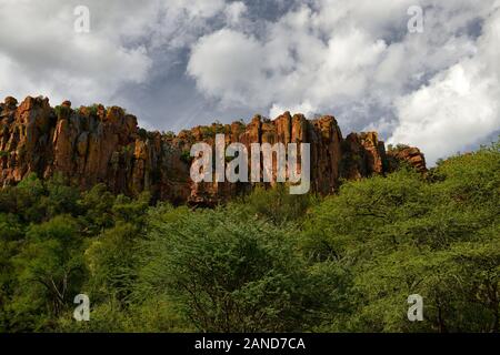 L'escarpement de grès,plateau de Waterberg Waterberg,National park,côté est Central Highlands,Namibie Afrique,RM Banque D'Images