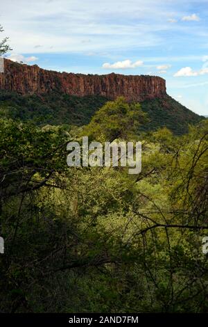 L'escarpement de grès,plateau de Waterberg Waterberg,National park,côté est Central Highlands,Namibie Afrique,RM Banque D'Images