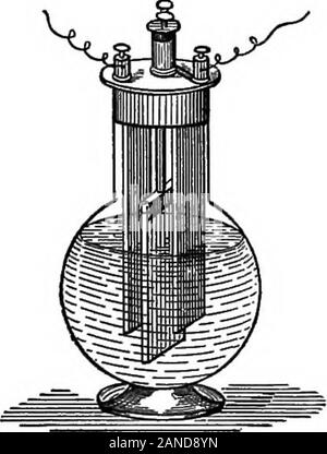 Les contours de la physique : un texte élémentaire-livre . Fig. 229. Fig. 230. beaucoup d'intervalles de temps. Les conditions à remplir, par conséquent, sont une faible résistance et une dépolarisation rapide. Dans la cellule de bichromate (Fig. 230), qui est l'une des formes connues de thebest-cellules en circuit fermé, l'effet positif de ter- 270 LES CONTOURS DE LA PHYSIQUE minal est constituée de deux plaques parallèles de carbone qui aremetallically connecté dans la partie supérieure. Entre ces est laborne négative, une plaque de zinc. Les grandes surfaces de ces, et leur proximité, sécurisé très faible résistance. Le liquide est de l'acide sulfurique dilué dans lequel la pota Banque D'Images