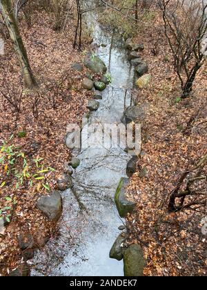 Regardant vers le bas sur un ruisseau, une partie de la voie d'eau, d'un pont dans la région de Prospect Park, Brooklyn, New York. Banque D'Images