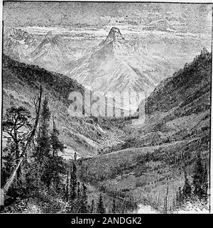 Harper's encyclopedia of United States history à partir de 458 A.Dto 1906, basé sur le plan de John Benson Lossing .. . T du voyage pour moi était dans exploratien de ces montagnes, dont beaucoup avaient été dit que wasdoubtful nowtheir et contradictoires, et des sommets enneigés rose majestueusement avant moi, et le seul moyen d'givingthem à science authentiquement l'objet, nous, nous estimons la quantité de bois à la GI. Les pins sur le moun-pour lui donner beaucoup d'additionalbeauty. J'ai été agréablement déçu dans le caractère de l'eau sur ce sidethe ridge. Au lieu des ruisseaux, whichdescription m'avaient conduite à Banque D'Images