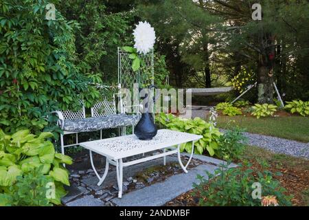 Table en métal blanche en fer forgé et mobilier banc assis sur des dalles de granit gris et bordé de plantes dans les petits pays Hosta jardin en été Banque D'Images