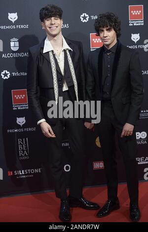 16 janvier 2020, Madrid, Espagne : Javier Calvo, Javier Ambrossi assiste à Feroz Awards 2020 Tapis Rouge à Teatro Auditorio Ciudad de los Reyes le 17 janvier 2020 à Alcobendas, Espagne (Image Crédit : © Jack Abuin/Zuma sur le fil) Banque D'Images