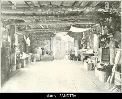 India rubber world . deux ans comme les semis de deux ans contre l'ancien les plantes de pépinières, je pense, d'accord avec moi. Encore et encore il a été impressionné sur moi andcareful alerte comment le semoir doit être dans la préparation de son sol, et surtout à obtenir ially-sa semence au bon moment, et l'obtenir dans le sol de sorte qu'il a le bon début. Et theirknowltdge vient de reconnaître les échecs. Onegood de mes amis ont acheté une tonne de semences à 1 $ la livre, la malchance de andwas haveit tout gâter. Un autre whichhe clearedhundreds d'acres pour l'échec de l'obtention de toute semence, theclearing passer se coucher Banque D'Images