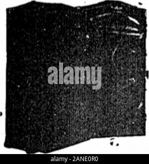 Le New York 37 (mai 1917) . Un ConleyâFour Harry Etta américain tiesâFive Glrla Beau-polyvalent. Tout simplement fermé 0ème saison avec MyrkloHarder DEXPSEY JAMES L. Adresse Co., Elk*Clob, Hew La ville de New York. SCOn WILLIAMS ARTISTE SCÉNIQUE ET PARTSAT LIBERTÉ Répondre** NOUVEAU MILLS HOTEL 7e Ave, et 31 St. New York City MAX AGENCE ROGERS maintenant au 1562 BroadwayWANTS ACTES NOUVEAUTÉ POUR CABARET Téléphone 5U4-58J5 Bryant société de cautionnement fédéral est donc Stre 42d-t, Naw YorkSuite 1702 Corporation* organisé à New York. S3*. Dans Cesaptot OutfitâSeed-tions*, StockCertificate*. Etc. AccountsSolicit** ! La nourriture excellente bonne Banque D'Images