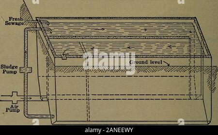 La science pour les débutants . de la simple exécution d'eaux usées la plus l'autorisant à more tremper dans le lit, les eaux usées sont sous certains8 ou 10 pieds de tête, c.-à-d. les eaux usées dans le réservoir de dosage est8 ou 10 pieds au-dessus du niveau de l'arroseur, et est admis par société topass casiers qui jette les eaux usées dans lescolliers dans un fin brouillard de même qu'un sprinkleur jardin jette une amende 448 L'APPROVISIONNEMENT EN EAU ET D'ÉGOUT de pulvérisation de l'eau sur la pelouse. Cette fine pulvérisation d'sewageabsorbs l'oxygène de l'air jusqu'à ce qu'il est saturé. 527. Le processus d'activation des boues.-l'activatedsludge processus est une méthode d'eaux usées dispos Banque D'Images