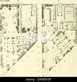 L'art d'embellir suburban home base de petite extentWith la description de la belle et hardy arbres et arbustes cultivés aux États-Unis . de rhododendrons nains evergreen et en face d'elle,sera meilleur là-bas. Le pin au dernier virage de la marche pour l'isintended {eulepte blanc nain) ; ou, une Japansophora serait bien placé là. L'suppositional les semis de la autres lots arrière de l'alleywe doit laisser au lecteur ; sauf pour mentionner que le long wallwhich divise la place juste décrit de son voisin, offre onits côté sud trop bonne occasion Banque D'Images