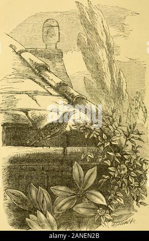 Madame la dame et pourquoi, ou, premières leçons en terre lore pour les enfants . e a créé toutes choses, et pour son pleasurethey sont, et ont été créées. Chapitre X. DOMAINE ET SAUVAGE. 11/ici ont été nous faire ensuite ? Dans le farWest, pour voir comment tout le long therailroad la nouvelle les roches et les sols se trouvent au-dessus de l'ancienne,et pourtant comment, quand nous arrivons à l'ouest, la plus ancienne rocksrise plus haut dans l'air. Eh bien, nous allons aller .* mais non, je pense que, aujourd'hui. IndeedI ne sais pas comment nous pourrions obtenir autant que la lecture;pour tous le monde est dans le champ de foin, et même l'ancien cheval doit s'y rendre aussi, et prendre son turnat la haycart. Ainsi, t Banque D'Images