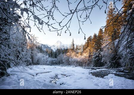 Sur la montagne d'Alice Lake Provincial Park, à Squamish, en Colombie-Britannique, Canada. Banque D'Images