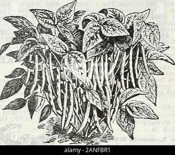 Ferme et jardin de printemps annuel, 1906 . Banque D'Images