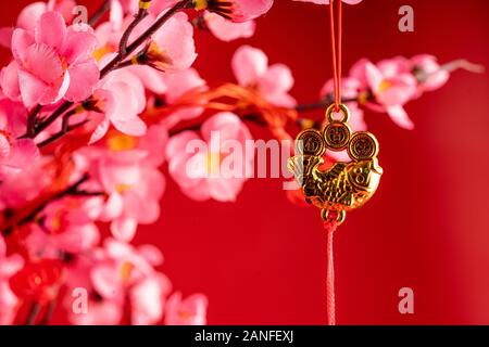 Le nouvel an chinois sur la branche de suspension Accessoires Banque D'Images