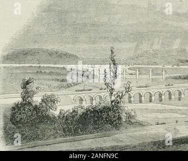 L'illustration : journal universel . , Les travaux nont pas moins dim-portance. La ligne, a sa sortie du bois de Bourrain, arriveà la vallée de lAllier dans un pli de terres où coule le ruis-seau du moulin des barres. Elle franchit à la fois le canal,une route vicinale et la rivière Allier sur un viaduc enpierre, et arrivée sur la rive droite, elle se bifurque pouraller dun côté à Nevers, de lautre à Moulins et Clermont. Le viaduc de lAllier, dune longueur de 3S0 mètres, est en amont de ce viaduc sur remarque le pont de Loire con-struit en pierre. Cet ouvrage, remarquable par lélégance deses f Banque D'Images