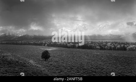 Une tempête sur le Grand Teton National Park, États-Unis Banque D'Images