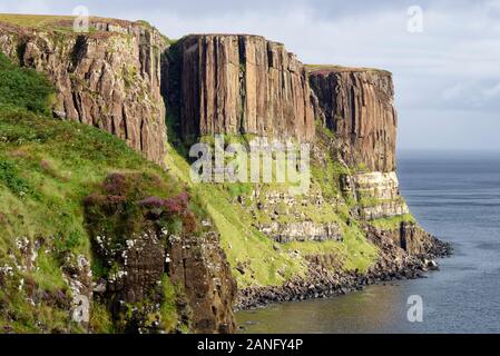 Les colonnes de basalte sur soubassement de grès de Kilt Rock, près de Oban sur la côte Trotternish, île de Skye, Écosse Banque D'Images