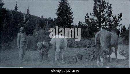 Sur les sentiers du parc national des Glaciers avec rman . sa ligne fait usage dans leurs efforts pas le poisson toget dans le bateau, et il a finalement été traîné sur la rive, le veryking de truite, la taille d'un saumon, et fort comme un colt. Le matin suivant, nous avons retracé notre sentier vers la vieille ville, où nous avons rencontré les pêcheurs du lac RedEagle et écrasés avec l'amateur captures au St Mary.à partir de la vieille ville un chemin de roulage les vents autour des montagnes sur theBlackfeet avec réservation gratuite et finalement vient à Cutbank camp. Ernie, le leadguide, n'aurait rien de tout cela. Il allait tracer un nouveau sentier dans notre Banque D'Images