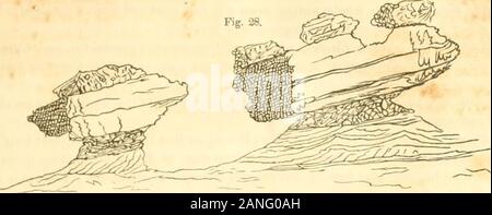 Rapport sur la géologie de la Caroline du Sud ; . disto, la surface est de niveau, jusqu'à Lexington, et insummer la profonde sands font en sorte qu'il est extrêmement laborieux. De Aiken à Edisto Sud le pays coule doucement, mais l'arête entre les deux rivières, est un iselevated et pin ininterrompu stérile ; les lits de sable, cependant, ne sont pas si profondes, et de limon et argile zone rouge tacheté viennent plus fréquemment à la surface. Vers la tête du ruisseau ofLightwood les ressorts de l'Éocène et de grès à grain blanc sont laissés sur les sommets des crêtes, dans thickledges interstralified, avec lits de sable et de porcelaine de l'argile. Banque D'Images