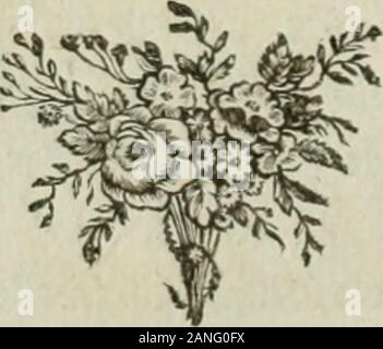 Monumens du culte secret des dames romaines : pour servir de suite aux Monumens de la vie privée des XII Césars . merumque pares. r&gt ; Lib. Xi, n. N°. XXIX. Kl,20- Banque D'Images