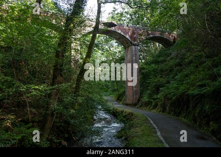 Viaduc Ferroviaire à Dolgoch, près de Tywyn (Towyn), au Pays de Galles Banque D'Images