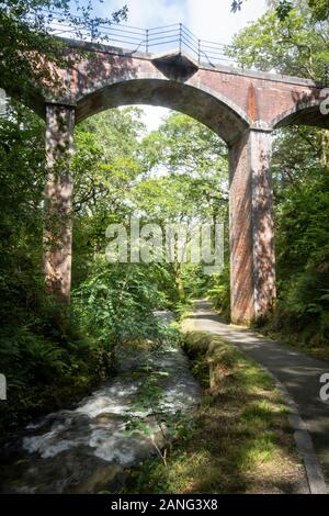 Viaduc Ferroviaire à Dolgoch, près de Tywyn (Towyn), au Pays de Galles Banque D'Images