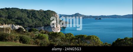 Vue panoramique de Cathedral Cove sur la péninsule de Coromandel Nouvelle-zélande Banque D'Images