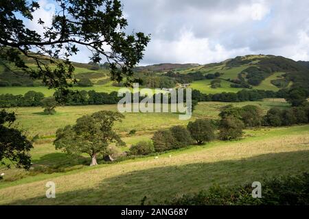 Terres agricoles à Dolgoch, près de Tywyn (Towyn), Pays de Galles Banque D'Images