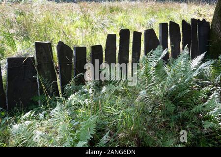 Clôture faite de plaques d'ardoise, Dolgoch, près de Tywyn (Towyn), au Pays de Galles Banque D'Images