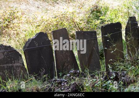 Clôture faite de plaques d'ardoise, Dolgoch, près de Tywyn (Towyn), au Pays de Galles Banque D'Images