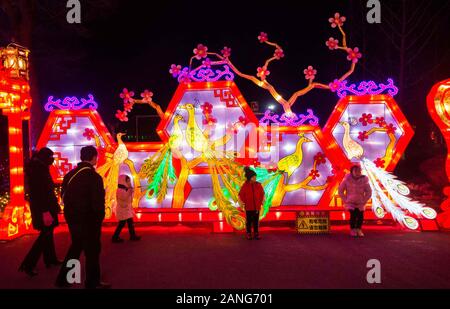 Shanghai, Chine, la province de Shandong. 16 janvier, 2020. Les installations de l'éclairage pendant une lanterne de vœux juste la prochaine fête du printemps, ou le Nouvel An Chinois, dans la ville de Weifang, province de Shandong, Chine orientale, le 16 janvier 2020. Credit : Wang Jilin/Xinhua/Alamy Live News Banque D'Images