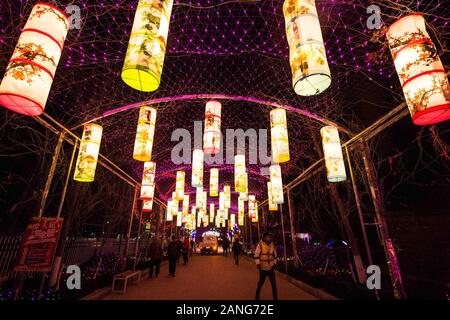 Shanghai, Chine, la province de Shandong. 16 janvier, 2020. Les installations de l'éclairage pendant une lanterne de vœux juste la prochaine fête du printemps, ou le Nouvel An Chinois, dans la ville de Weifang, province de Shandong, Chine orientale, le 16 janvier 2020. Credit : Wang Jilin/Xinhua/Alamy Live News Banque D'Images