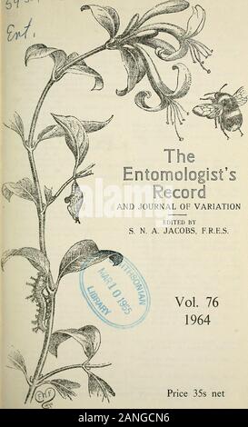 L'entomologiste du dossier et du journal officiel de variation . *. YQjfiS I. ET CORDON DE VARIATION JOURNAL édité par S. N. A. JACOBS, F.R.E.S. Vol. 761964 : 35s net imprimé en Grande Bretagne par T. Buncle & Co., Ltd., Arbroath, Angus. INDEX GÉNÉRAL INDEX GÉNÉRAL Abisko revisité. 259. Acherontia atropos L. à Northampton-shire. 34. Acherontia atropos L. dans le Suffolk. 296. Acherontia atropos L., Laphygmaexigua Rhodometra sacraria, et d'autres migrants dans Surrey, 1963. 29. Aglais urticae L. à la lumière. 246. Anabolia (Phaeopteryx) brevipennis(Curtis) et Ironoquia Caborius ()dubia (Stephens) (Trichoptères, Limne-ph Banque D'Images