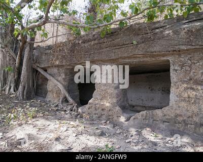 Bandhavgarh Grottes, Bandhavgarh National Park, Madhya Pradesh, Inde Banque D'Images