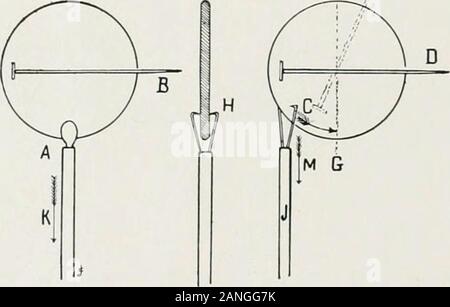 Peroral endoscopie et chirurgie laryngée . ry attention le travail est nécessaire (Fig. 208). Corps étranger reachthis ])osition i)n)bably par un point, par exemple, D, bloquée en theesophageal mur. Le bmly étrangers est alors dans le ESOPIIAGOSCOPY jiosition indiqué à 348 pour les corps étrangers. A, par la ligne en pointillé. La vigueur de l'ingestion par la suite pousse le foodcontinually point supérieur, E, jusqu'à ce qu'elle atteigne la partie de l'œsophage, comme montré en B. Pour retirer un tel corps, il est nécessaire d'attraper l'une des extrémités, D ou C, neverby le Milieu, B, que le traumatisme serait presque cer Banque D'Images
