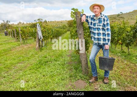 Fier de son vigneron winery avec beaucoup de vignes dans le vignoble Banque D'Images