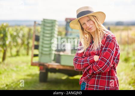 Jeune femme comme un vigneron avec bras croisés pendant les vendanges dans le vignoble Banque D'Images