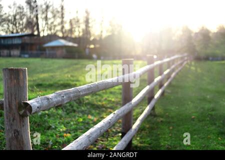 Printemps paysage agricole avec de l'herbe bien verte et log clôture à beau coucher du soleil. Nature Paysage et l'arrière-plan. Tôt le matin on farm Banque D'Images