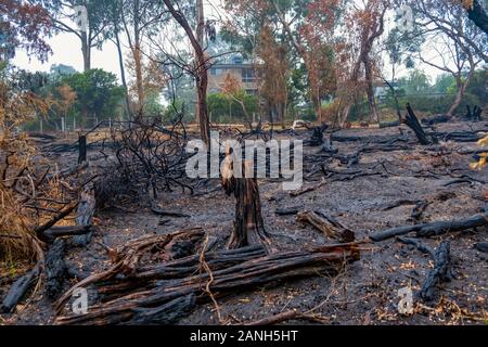 Réserve naturelle après brûler en Australie Banque D'Images