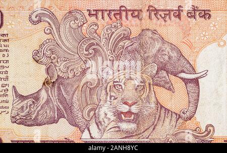 Le rhinocéros et l'éléphant tiger représentées sur les billets de banque Indiens dix roupies. Roupie 10 monnaie nationale de l'Inde INR. Orange money bill close up Banque D'Images